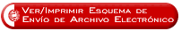 Ver/Imprimir el esquema para envío de archivo electrónico